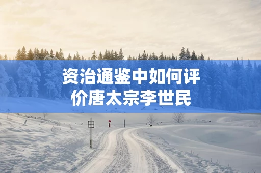 资治通鉴中如何评价唐太宗李世民