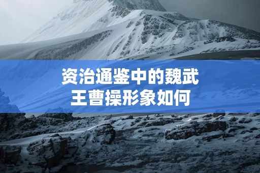 资治通鉴中的魏武王曹操形象如何