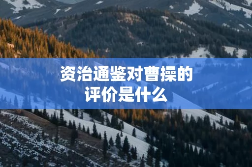 资治通鉴对曹操的评价是什么