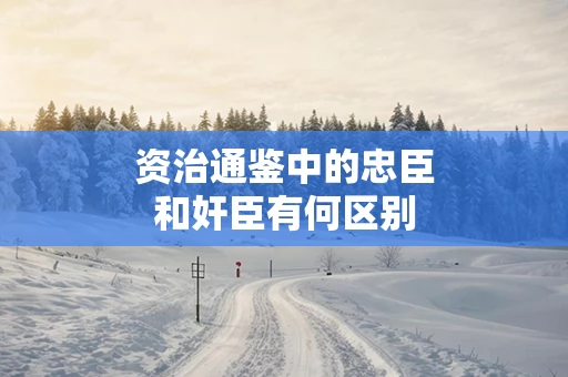 资治通鉴中的忠臣和奸臣有何区别