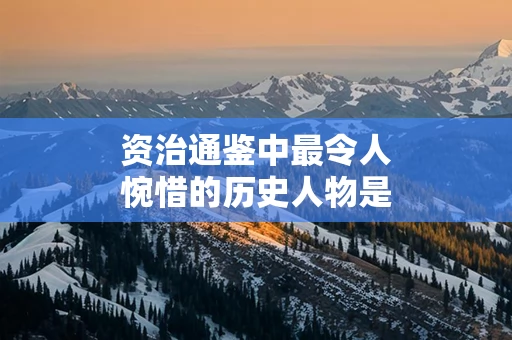 资治通鉴中最令人惋惜的历史人物是谁