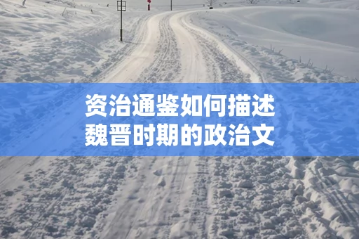 资治通鉴如何描述魏晋时期的政治文化