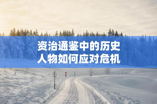 资治通鉴中的历史人物如何应对危机