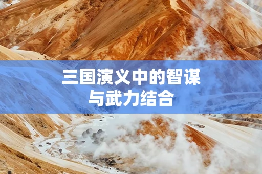 三国演义中的智谋与武力结合