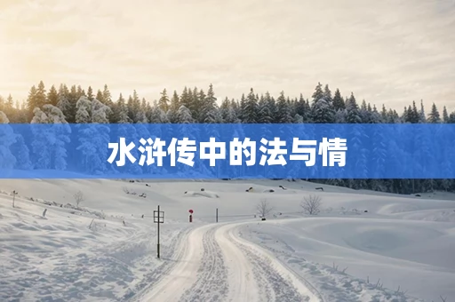 水浒传中的法与情
