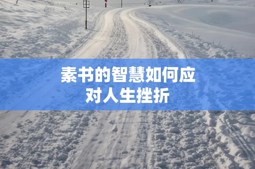 素书的智慧如何应对人生挫折