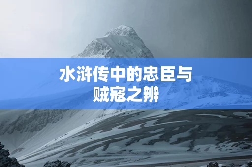 水浒传中的忠臣与贼寇之辨