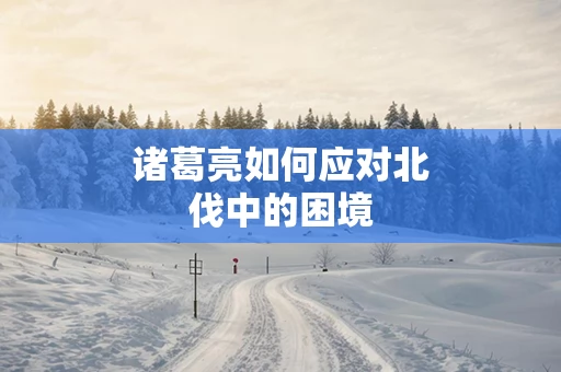 诸葛亮如何应对北伐中的困境