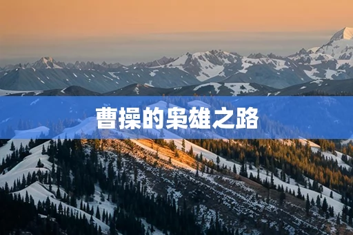 曹操的枭雄之路