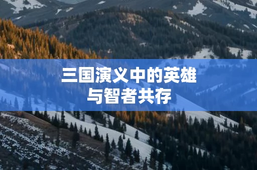 三国演义中的英雄与智者共存