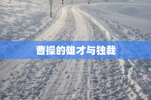 曹操的雄才与独裁