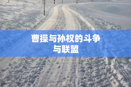 曹操与孙权的斗争与联盟
