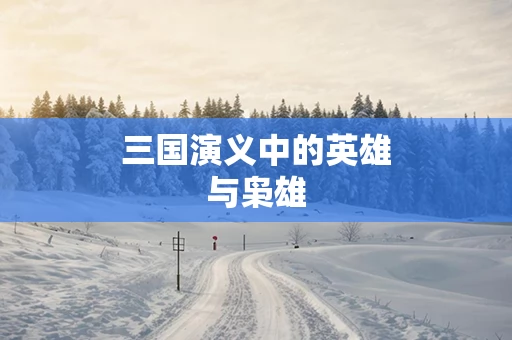三国演义中的英雄与枭雄