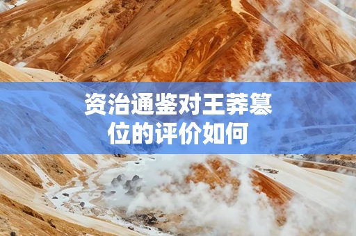 资治通鉴对王莽篡位的评价如何