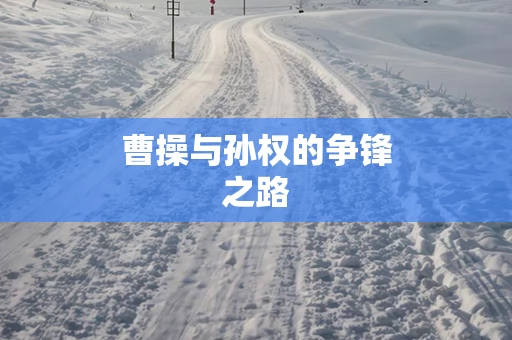曹操与孙权的争锋之路