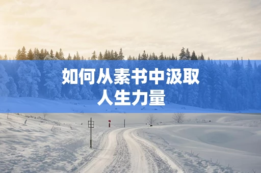 如何从素书中汲取人生力量