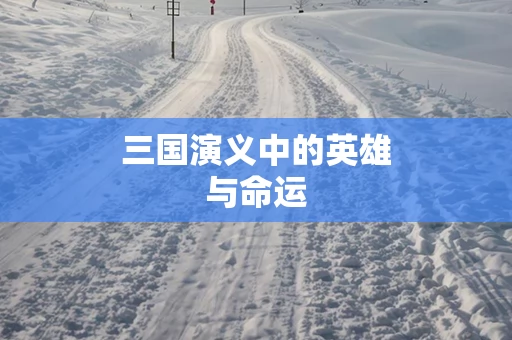 三国演义中的英雄与命运
