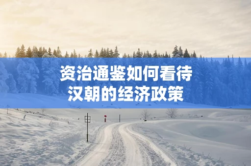 资治通鉴如何看待汉朝的经济政策