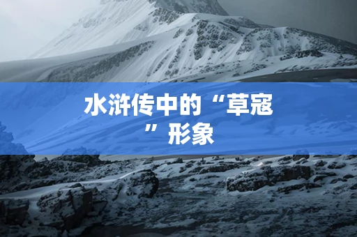 水浒传中的“草寇”形象
