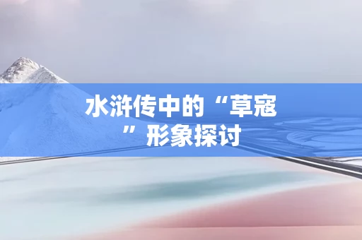 水浒传中的“草寇”形象探讨