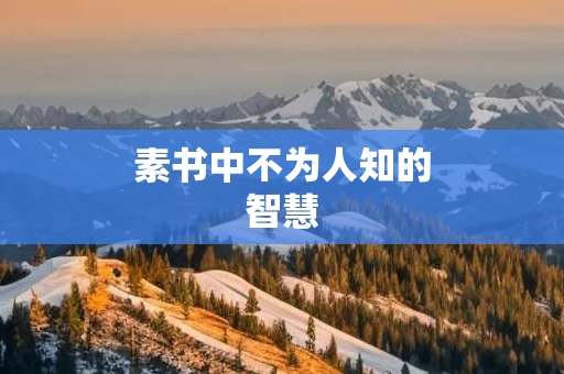素书中不为人知的智慧