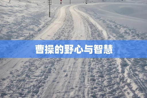 曹操的野心与智慧