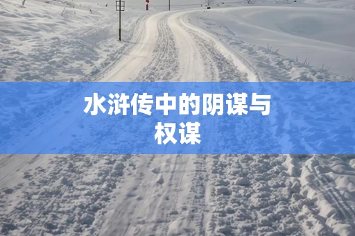 水浒传中的阴谋与权谋
