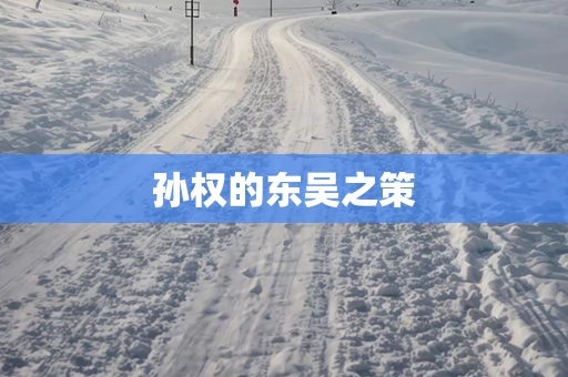 孙权的东吴之策