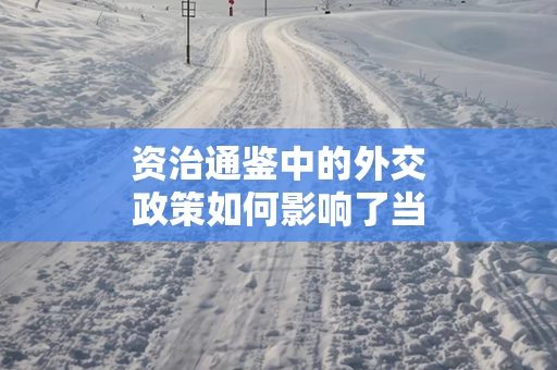 资治通鉴中的外交政策如何影响了当时的局势