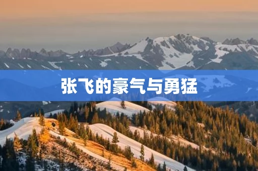 张飞的豪气与勇猛