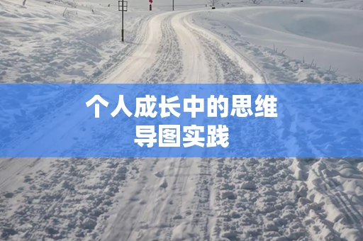 个人成长中的思维导图实践