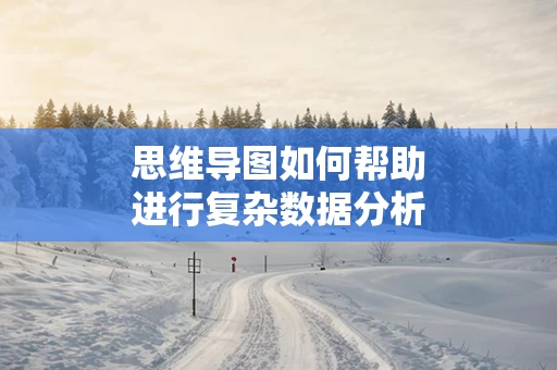思维导图如何帮助进行复杂数据分析