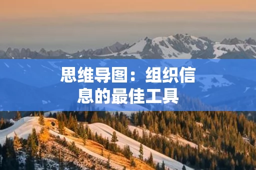 思维导图：组织信息的最佳工具