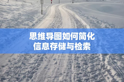 思维导图如何简化信息存储与检索