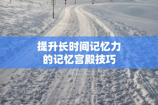 提升长时间记忆力的记忆宫殿技巧