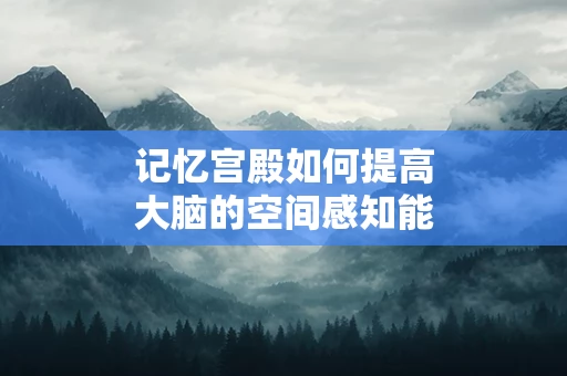 记忆宫殿如何提高大脑的空间感知能力