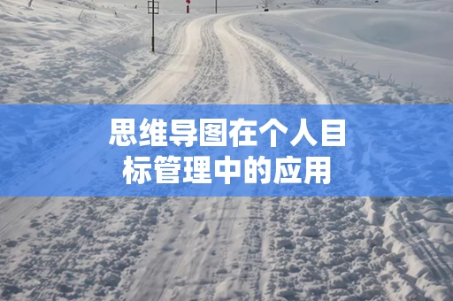 思维导图在个人目标管理中的应用