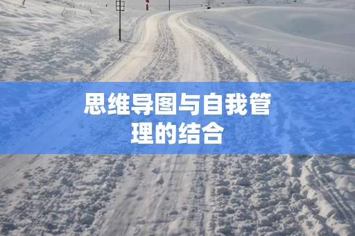 思维导图与自我管理的结合