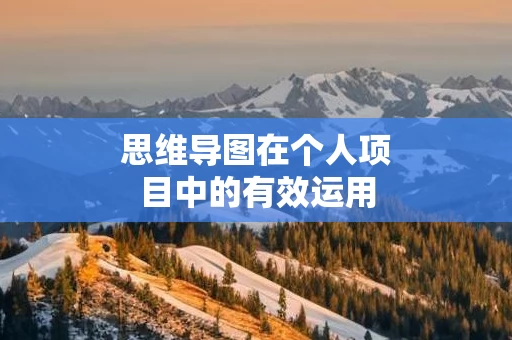 思维导图在个人项目中的有效运用