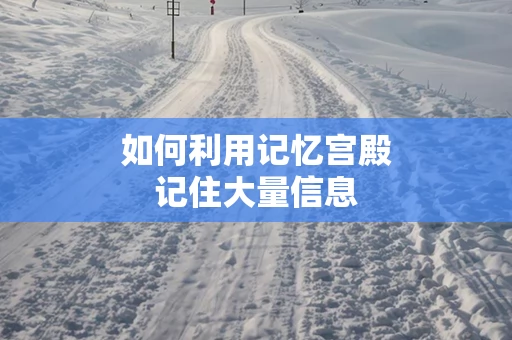 如何利用记忆宫殿记住大量信息
