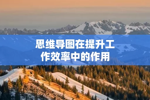 思维导图在提升工作效率中的作用