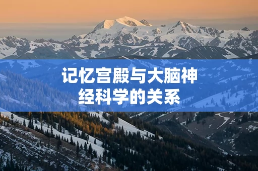 记忆宫殿与大脑神经科学的关系