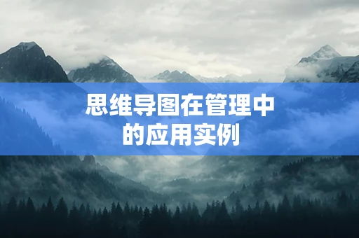 思维导图在管理中的应用实例