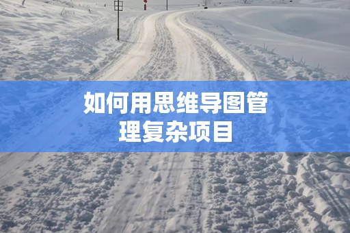 如何用思维导图管理复杂项目