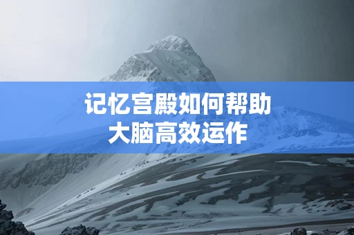 记忆宫殿如何帮助大脑高效运作