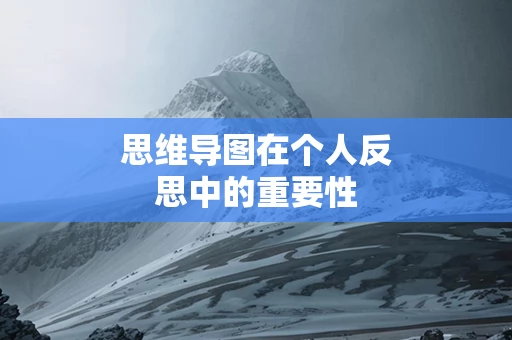 思维导图在个人反思中的重要性