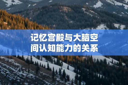 记忆宫殿与大脑空间认知能力的关系