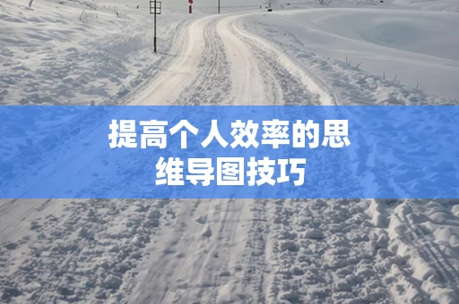 提高个人效率的思维导图技巧