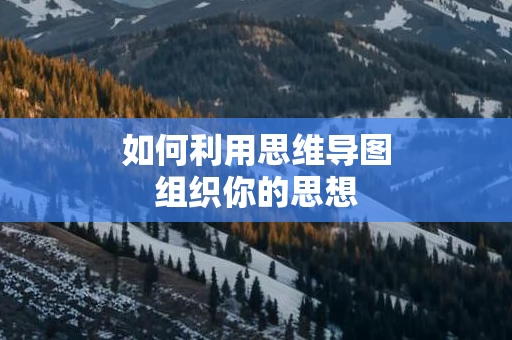 如何利用思维导图组织你的思想