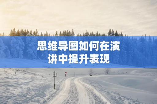 思维导图如何在演讲中提升表现